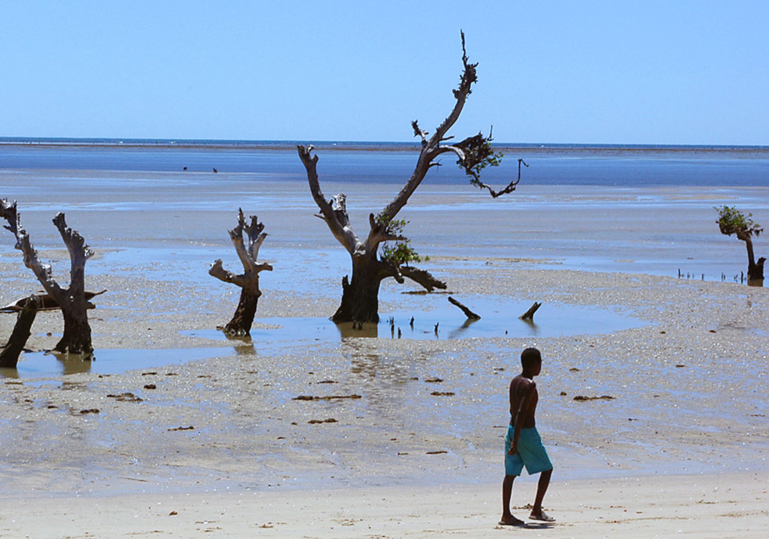 Un homme marche sur une plage à marée basse