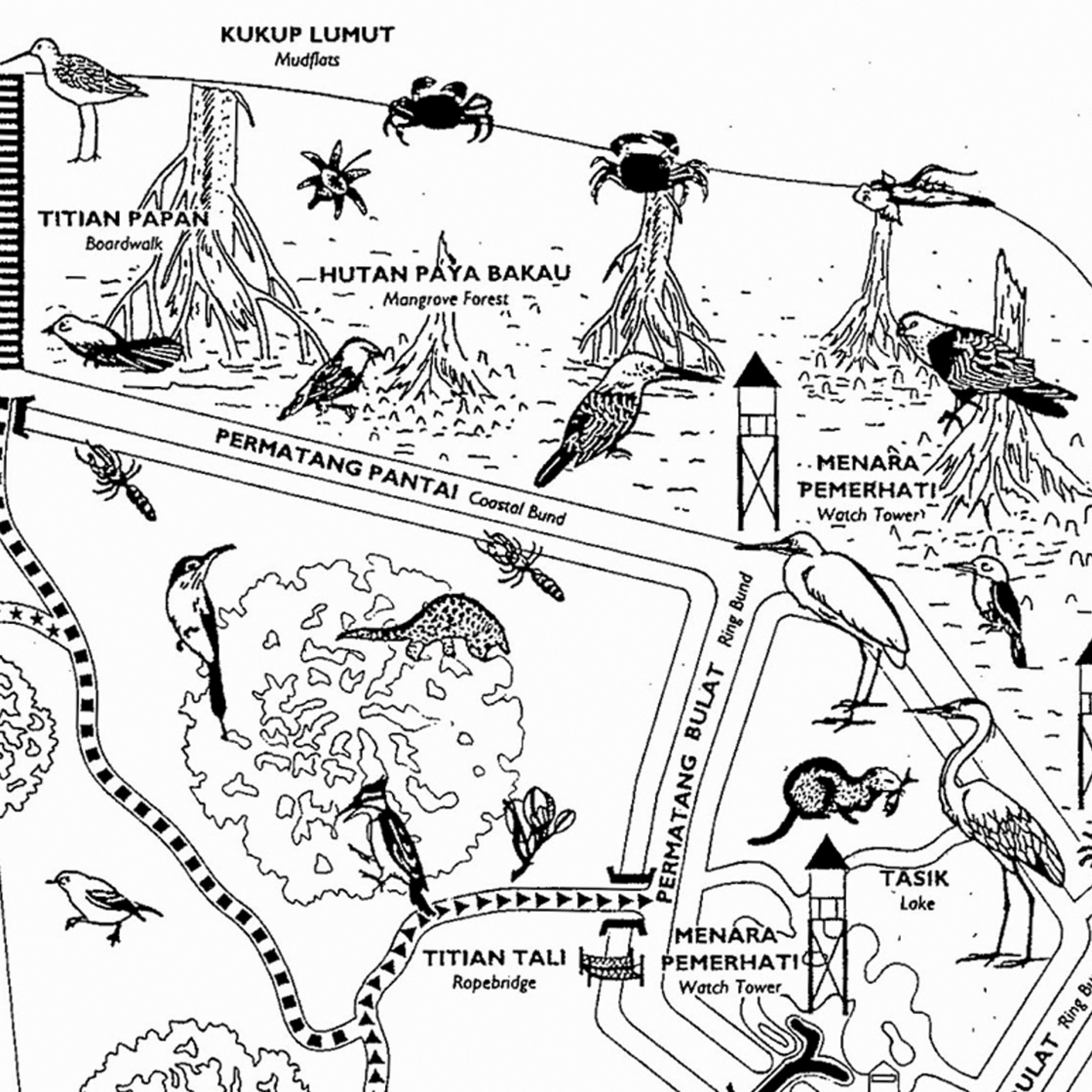 Plan d’une réserve naturelle en Malaisie