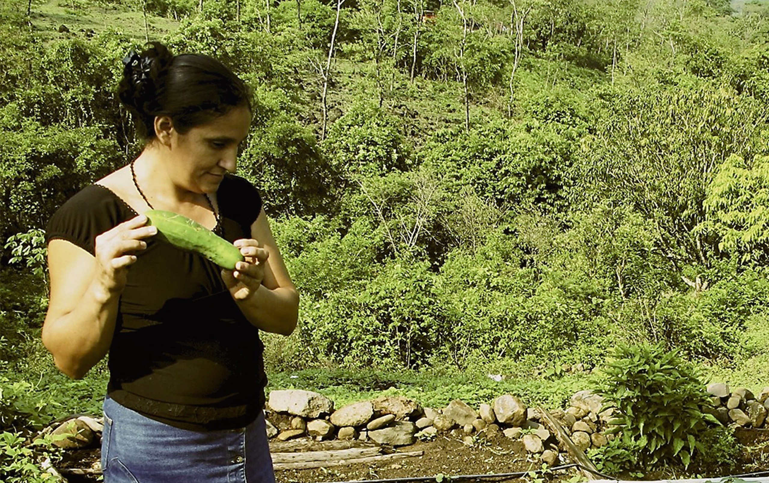 Femme montrant un concombre pendant la récolte au Salvador.