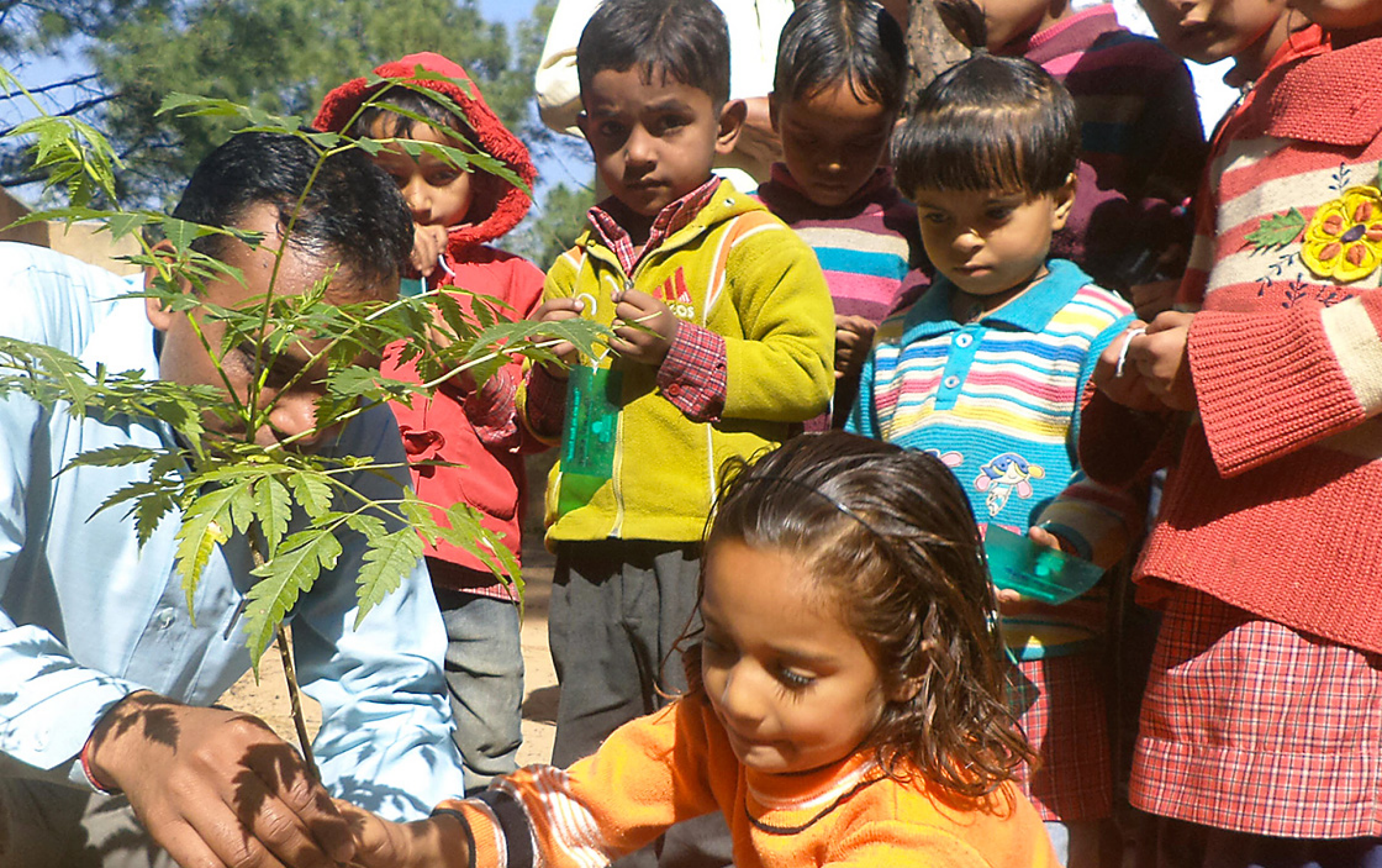 A man explaining to children how to plant tree saplings in India