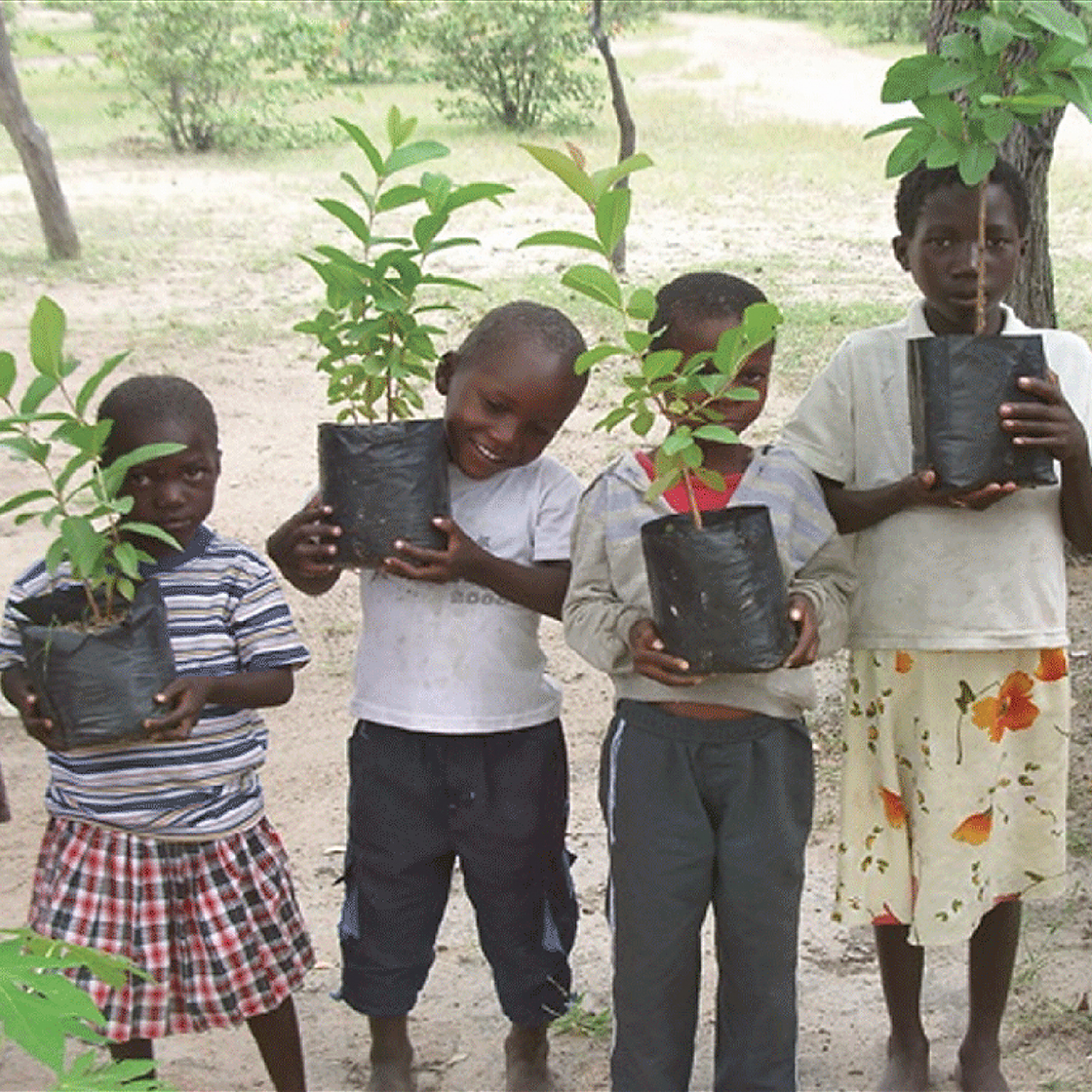 Four children each carrying a tree sapling in their hands in Nambia