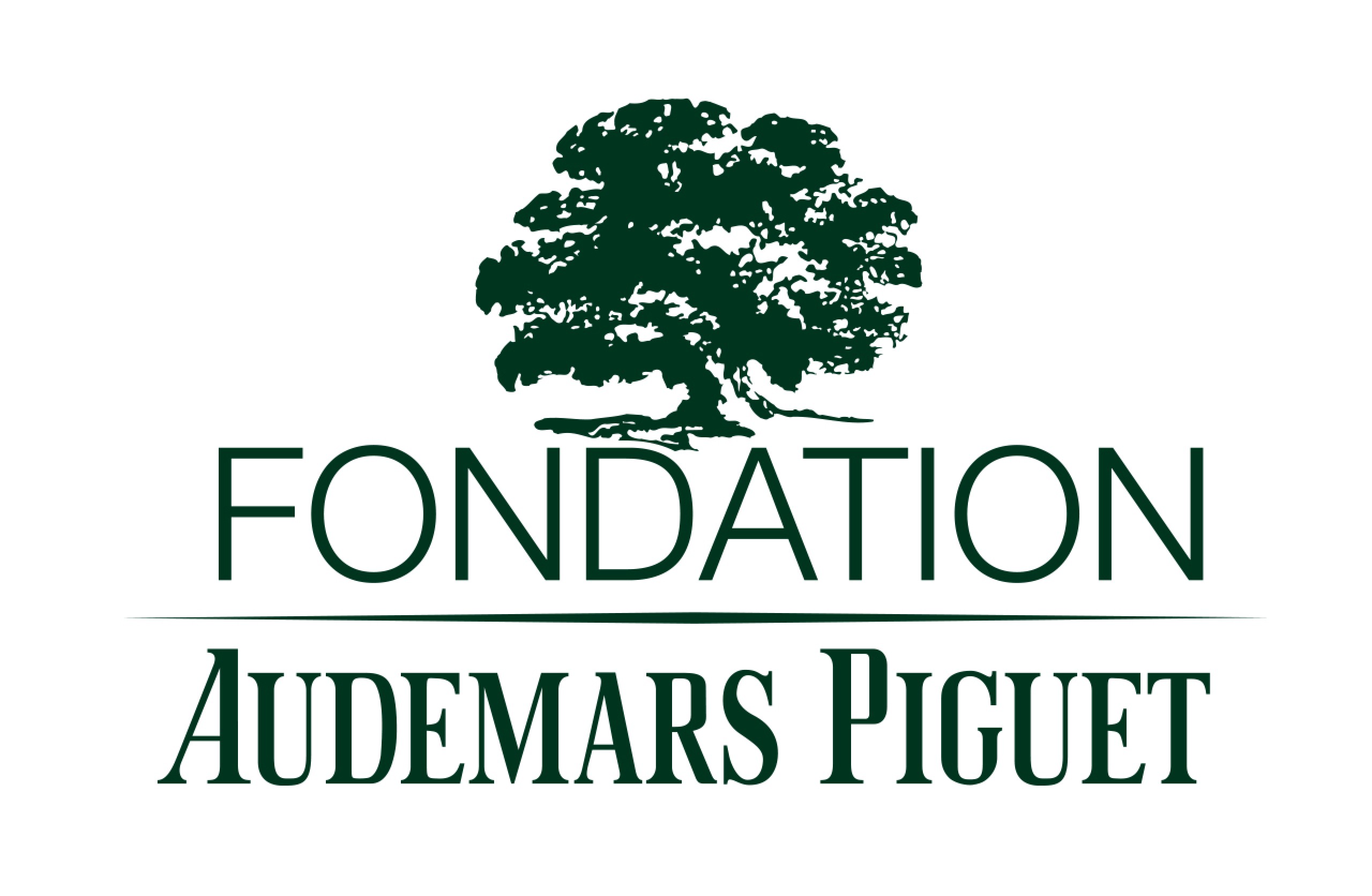 Audemars Piguet  The Audemars Piguet Foundation