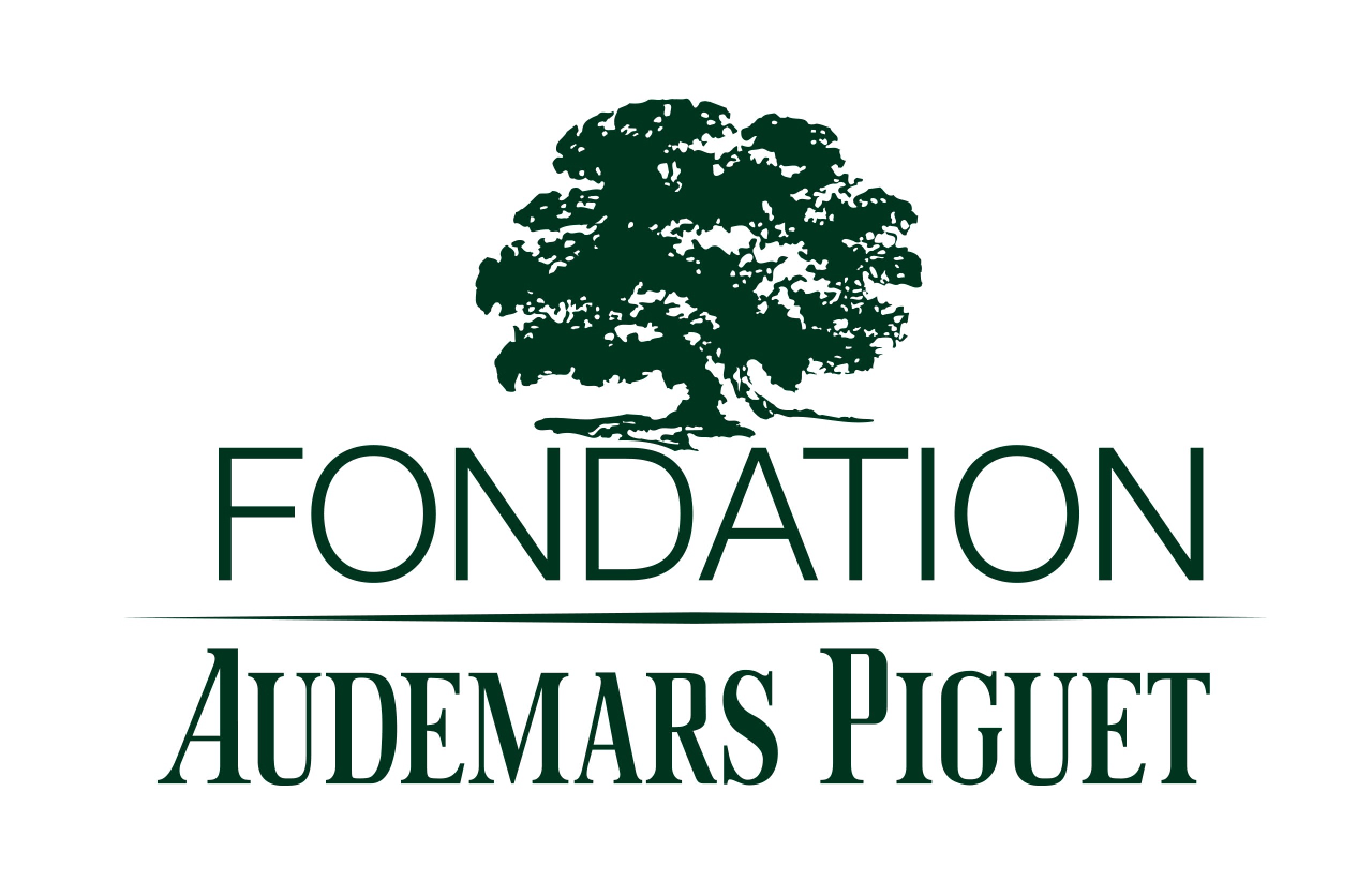 Logo de la Fondation Audemars Piguet