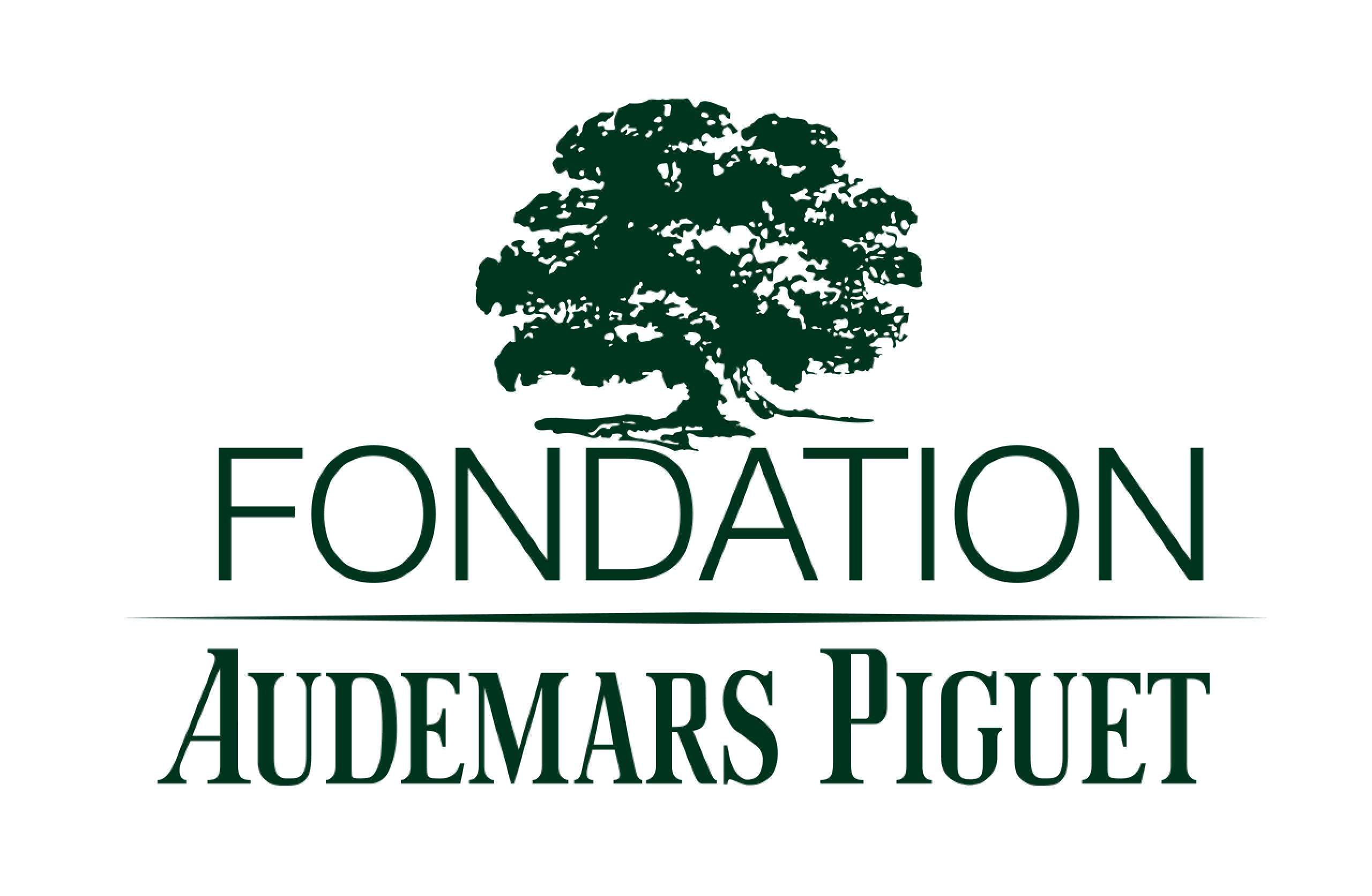 Logo of the Audemars Piguet Foundation