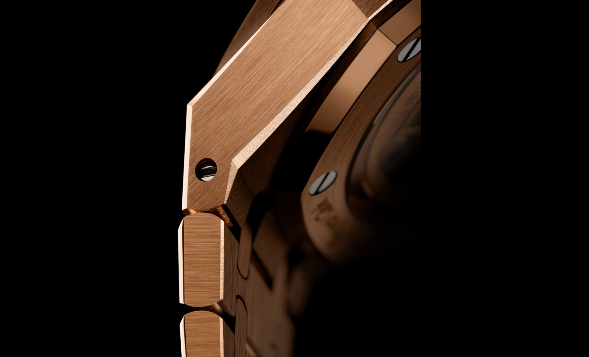 Back of hotsell ap royal oak