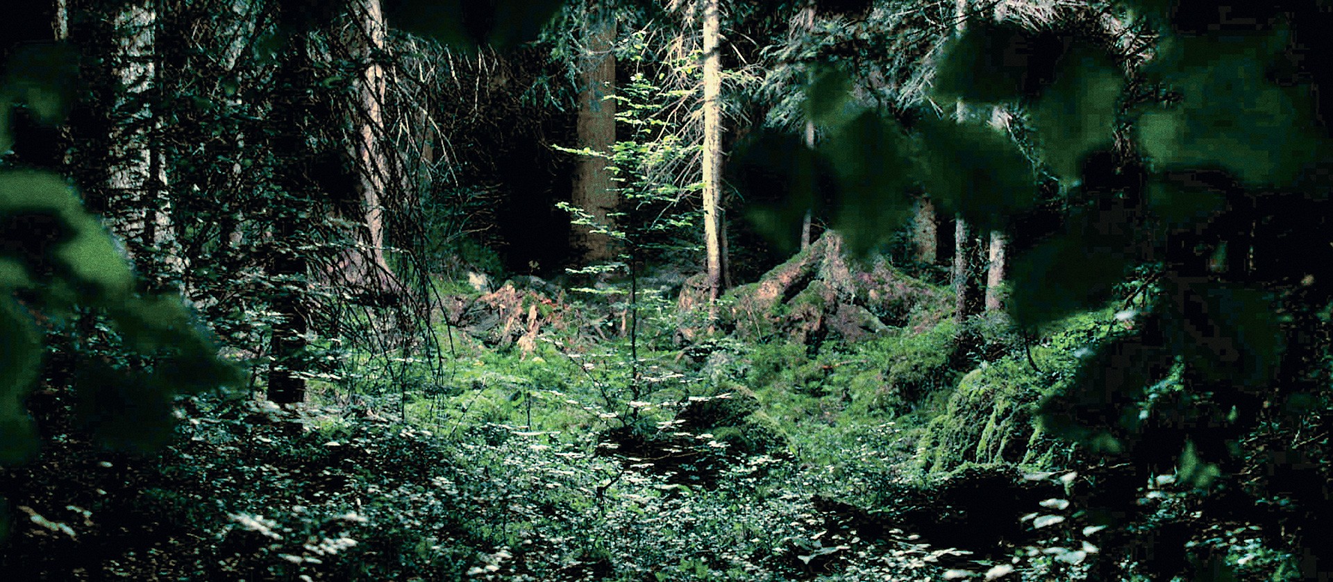 A glimpse of Cheng Ran's project "Circadian Rhythm".