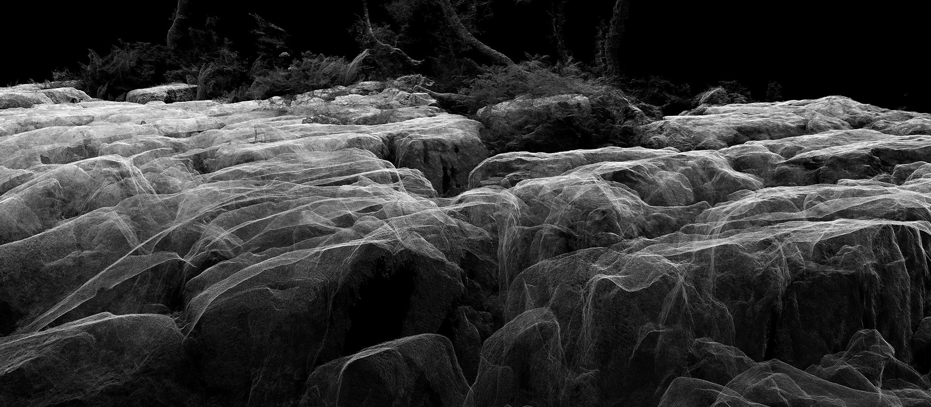 Dan Holdsworth, Continuous Topography Dan Holdsworth, Continuous Topography
