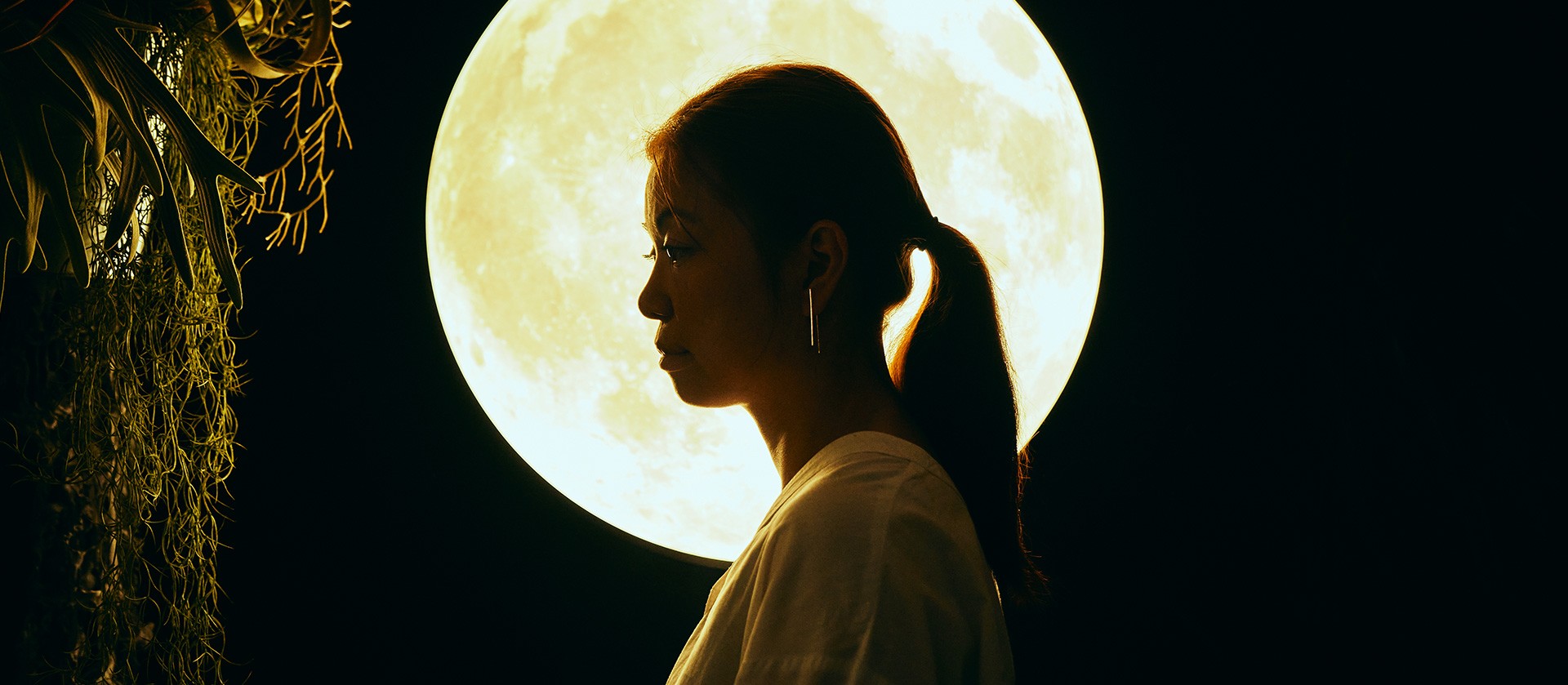 Песни пусть уйдет луна. Phoebe Moon. Чтобы покинуть луну.