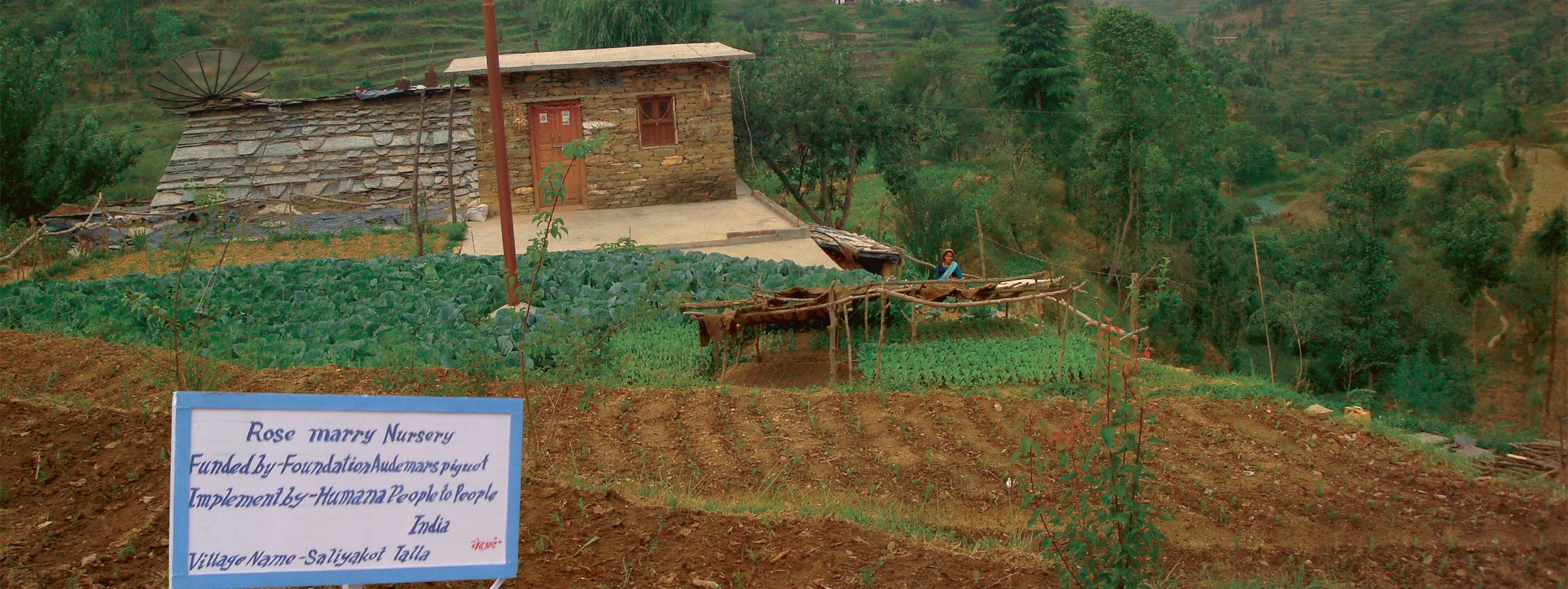 Panneau de la plantation de romarin "Rose marry Nursery". En fond une maison et un jardin potager